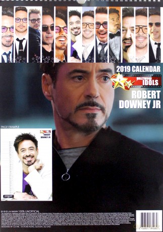 Robert Downey Jr: 2019 Calendar Unofficial [KALENDARZ]