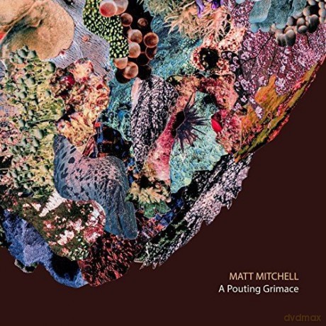 Matt Mitchell: A Pouting Grimace [CD]