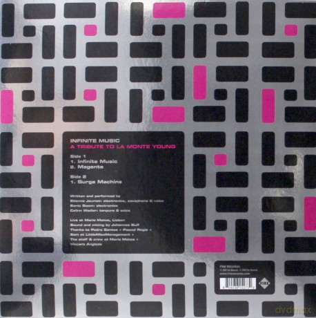 Infinite Music: A Tribute To La Monte Young [Winyl]