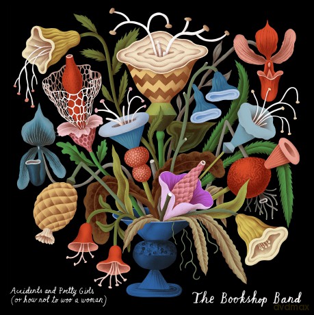 Bookshop Band: Accidents And Pretty Girls [CD]