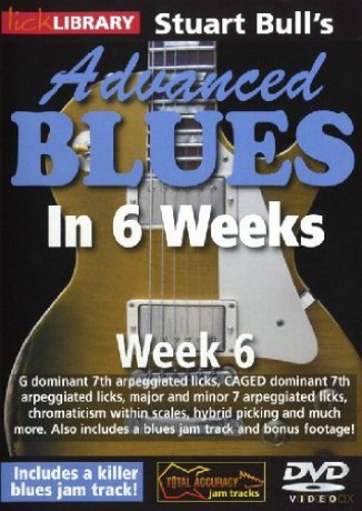Stuart Bull: Advanced Blues In 6 Weeks Week 5 Gtr [DVD]