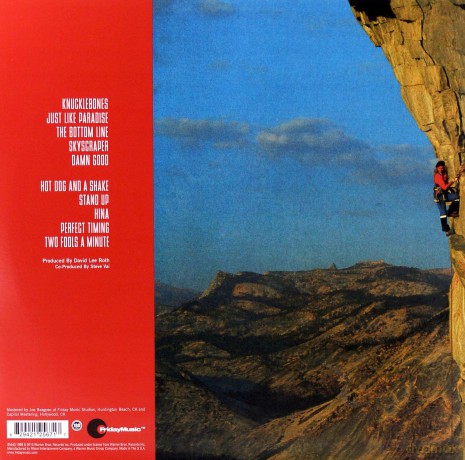 David Lee Roth: Skyscraper [Winyl]