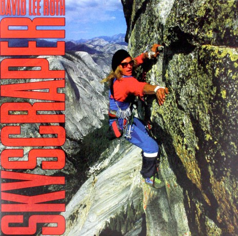 David Lee Roth: Skyscraper [Winyl]
