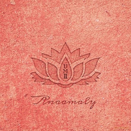Anaamaly: Urban Metta vol. 2 [CD]