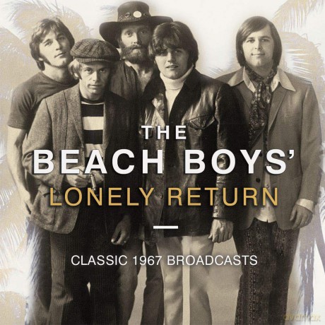 Beach Boys: Lonely Return [CD]