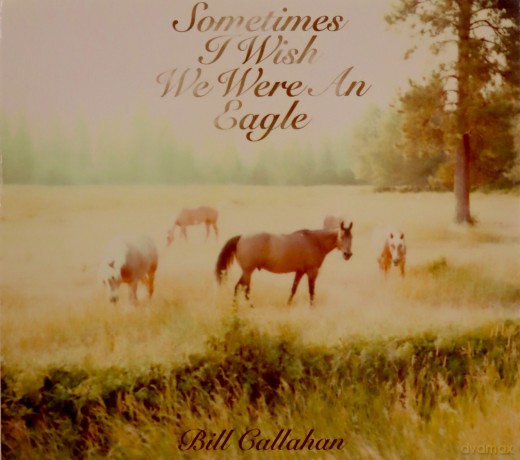 Bill Callahan: Sometimes I Wish We Were An Eagle [CD]
