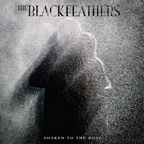 Black Feathers: Soaked To The Bone [CD]