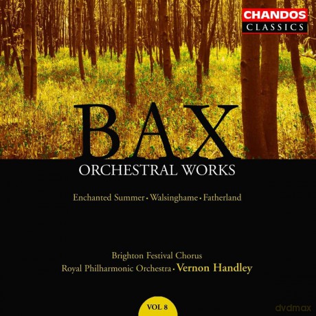 Brighton Fest Chrpohandley: Baxorchestral Works vol. 8 [CD]