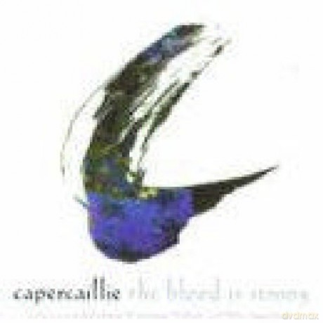 Capercaillie: Blood Is Strong [CD]