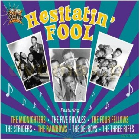 Various Artists: Hesitatin Fool (digipack) [CD]