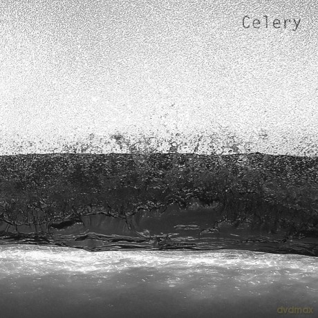 Celery: Celery [CD]