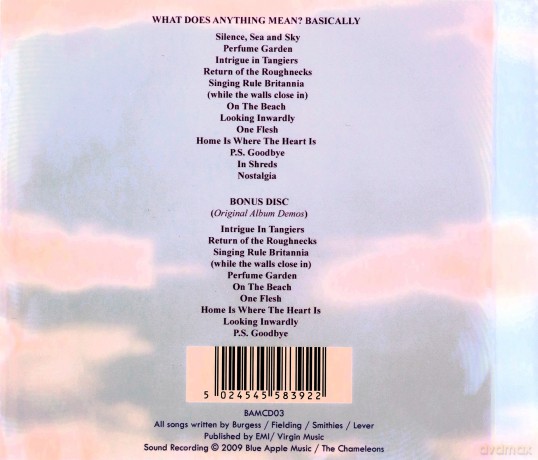 Chameleons: What Does Anything Mean Basically [2CD]