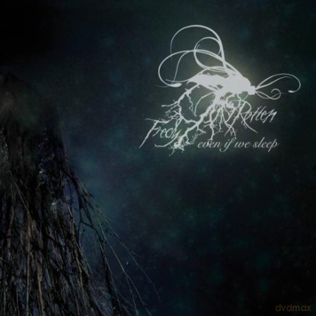 Fredy Rotten: Even If We Sleep [CD]