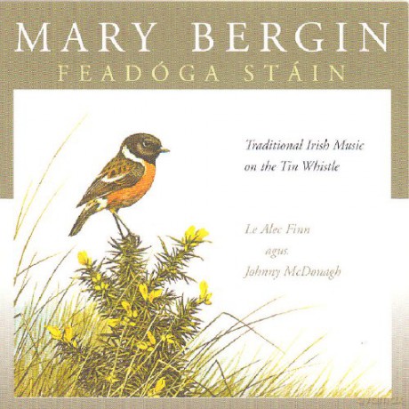 Mary Bergin: Feadoga Stain 1 [CD]