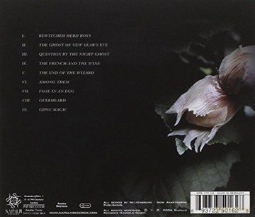 Weltenbrand: The End Of The Wizard [CD]