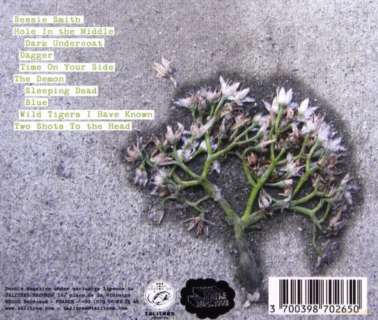 Emily Jane White: Dark Undercoat [CD]