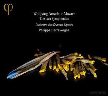 Orchestre Des Champs: Mozart/The Last Symphonies [2CD]