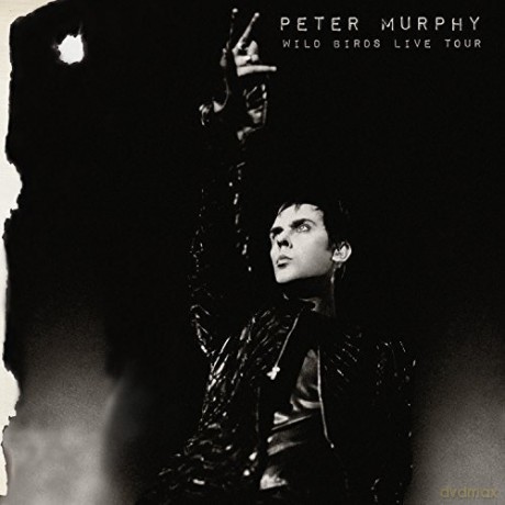 Peter Murphy: Wild Birds Live Tour [CD]