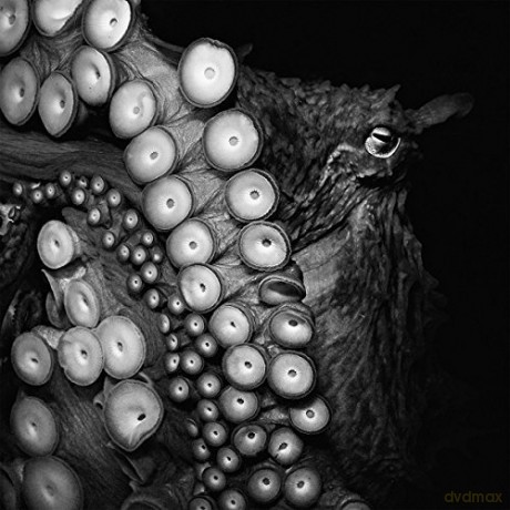 Skein: Deadweight [CD]