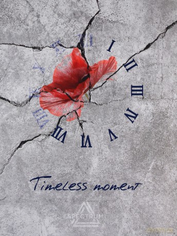 Spectrum: Timeless Moment [CD]