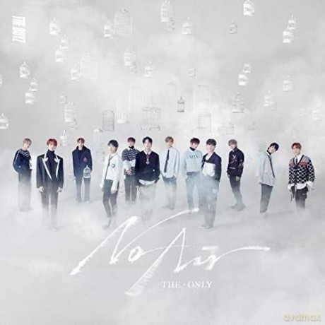 The Boyz: The Only [CD]
