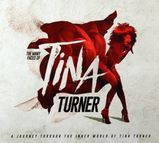 Tina Turner: The Many Faces Of Tina Turner [3CD]