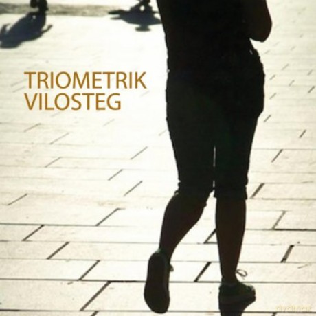 Triometrik: Vilosteg [CD]