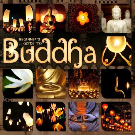 Beginners Guide To Buddha [3CD]