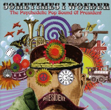 Sometimes I Wonder [CD]