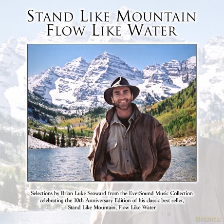 Stand Like Mountain. Flow Like Water [CD]
