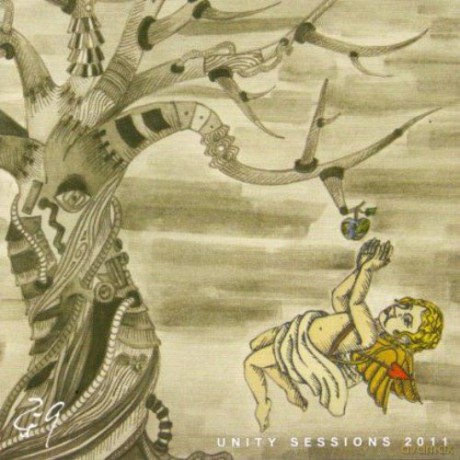 Unity Sessions 2011 [CD]