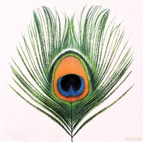 Xtc: Apple Venus vol. 1 [CD]