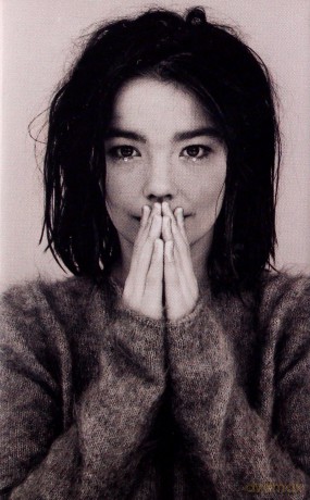 Bjork: Debut [KASETA]
