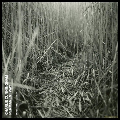 Charlie Cunningham: Permanent Way [Winyl]