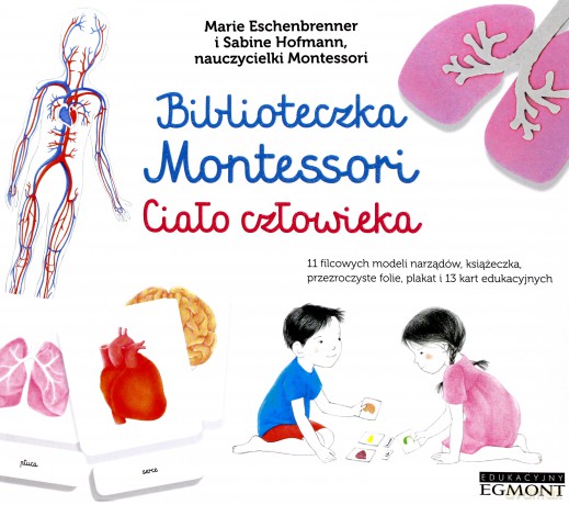 Biblioteczka Montessori. Ciało człowieka - Eve Herrmann [KSIĄŻKA]
