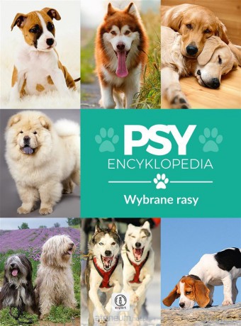 Encyklopedia. Psy - wybrane rasy - Agnieszka Nojszewska [KSIĄŻKA]