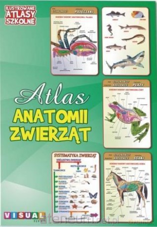 Ilustrowany atlas szkolny. Atlas anatomii zwierząt [KSIĄŻKA]