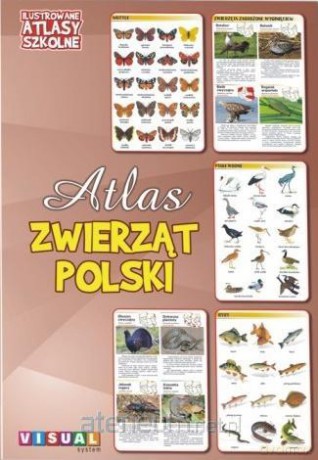 Ilustrowany atlas szkolny. Atlas zwierząt Polski [KSIĄŻKA]