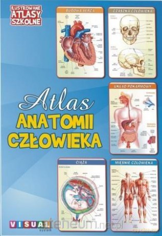 Ilustrowany atlas szkolny.Atlas anatomii człowieka [KSIĄŻKA]