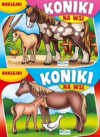 Koniki na wsi [KSIĄŻKA]