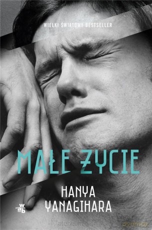 Małe życie - Hanya Yanagihara, Jolanta Kozak [KSIĄŻKA]