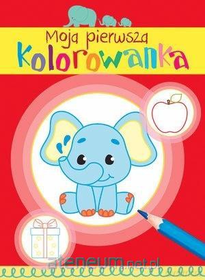 Moja pierwsza kolorowanka [KSIĄŻKA]