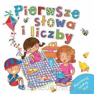 Pierwsze słowa i liczby [KSIĄŻKA]