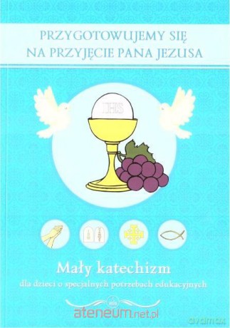 Przygotowujemy się na przyjęcie Pana Jezusa - Jerzy Dąbek [KSIĄŻKA]