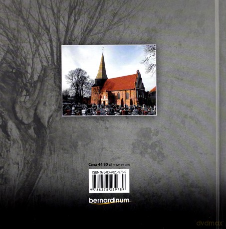 Żuławy. Niezwykła kraina - Józef Golicki [KSIĄŻKA]