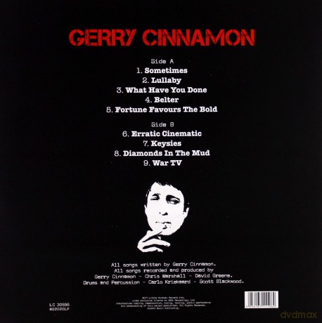 Gerry Cinnamon: Erratic Cinematic [Winyl]