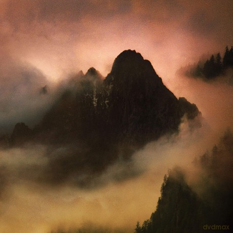 Dead To A Dying World: Elegy [CD]