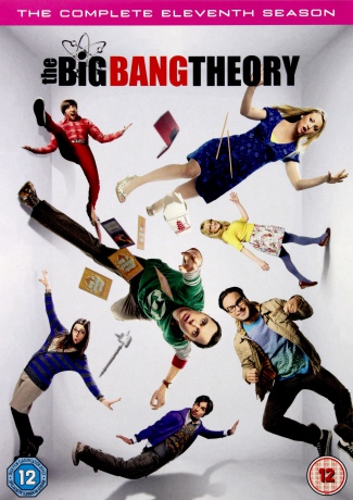 Big Bang Theory Season 11 (Teoria wielkiego podrywu) [DVD]