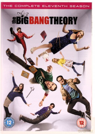 Big Bang Theory Season 11 (Teoria wielkiego podrywu) [DVD]