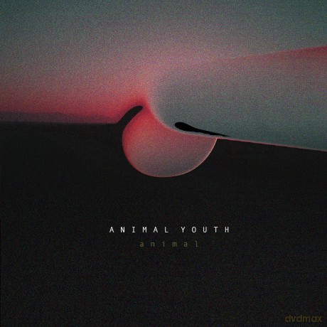 Animal Youth: Animal [Winyl]